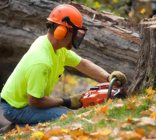 tree services Rothsay